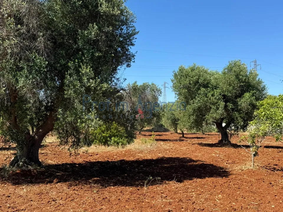 Helårsgrund i Carovigno, Brindisi - foto 1